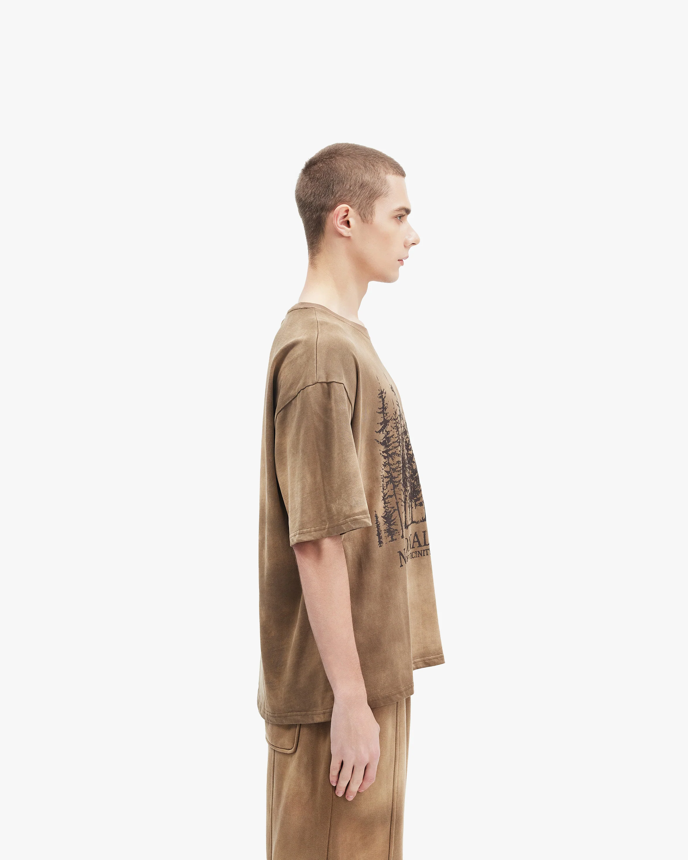 PINETREES TEE BEIGE - Image 5