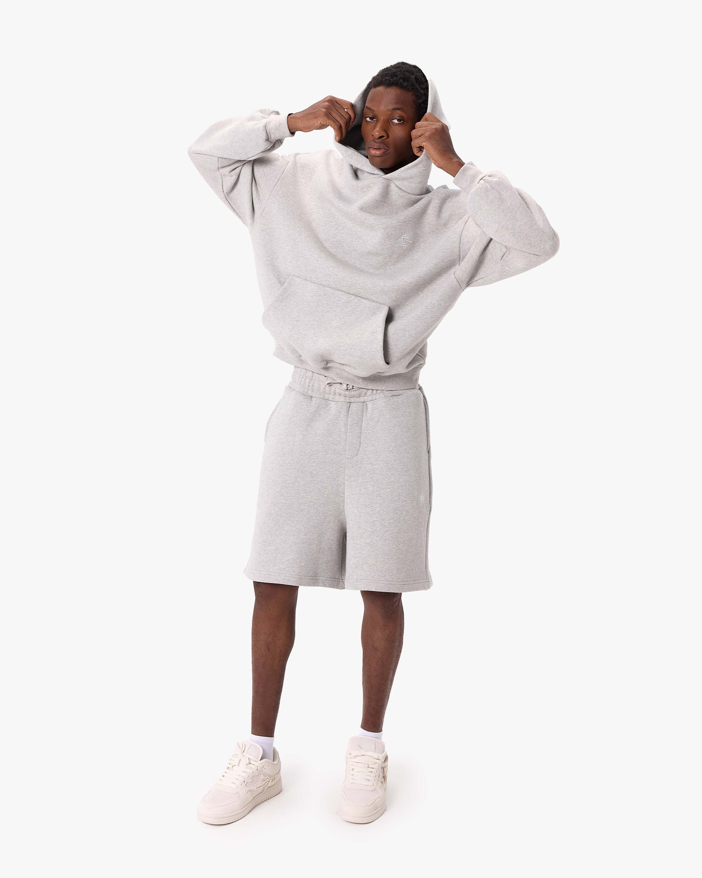 SOFTS HOODIE GREY MELANGE - Image 7
